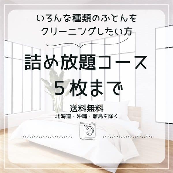 【保管なし】5枚まで詰め放題コース