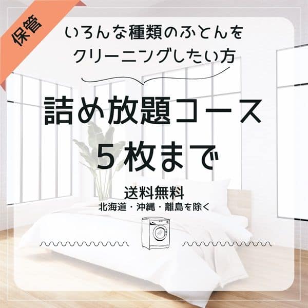 【保管あり】5枚まで詰め放題コース